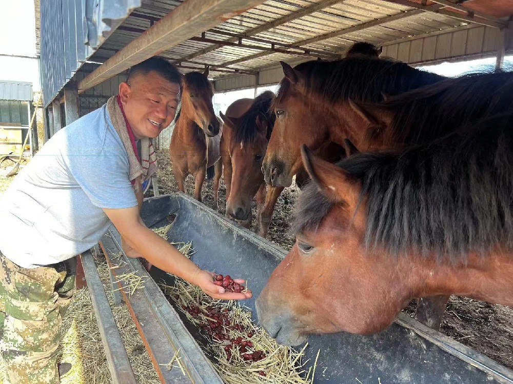 跨界养马，勤劳致富助力公益救援