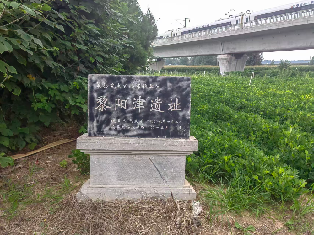 1787120551667826.png 图片1.png
