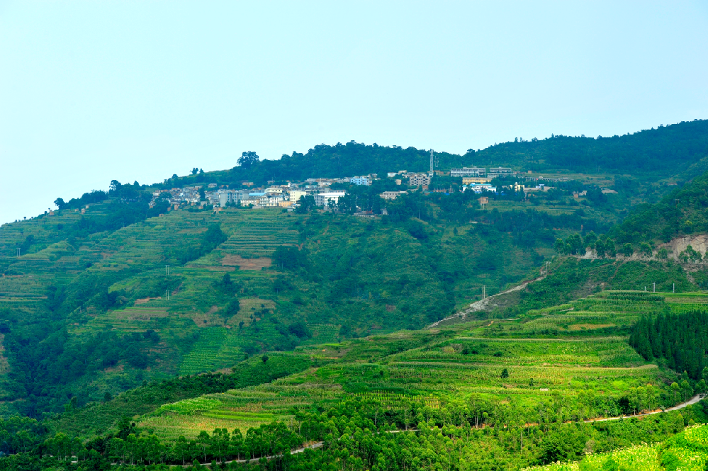 1789205336110818.png 图片1.png